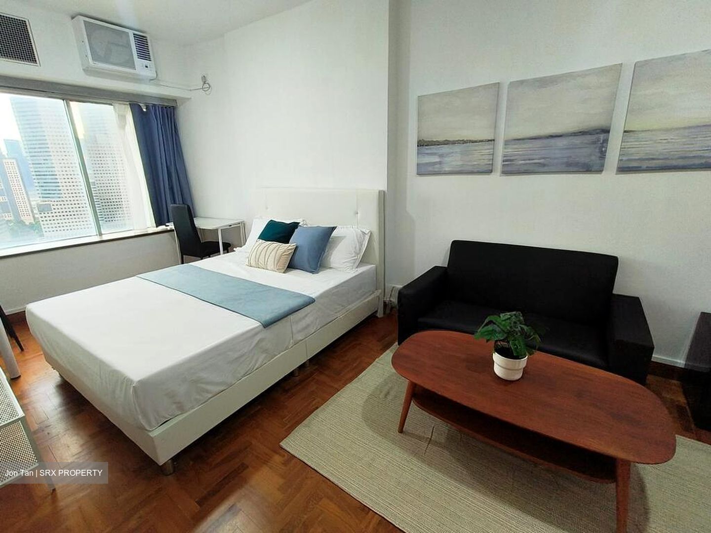 The Plaza (D7), Apartment #507555871